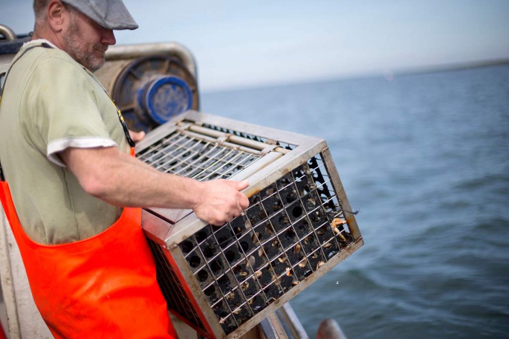Pescador con mono naranja de pie junto al borde del barco, sosteniendo una trampa metálica para cangrejos.