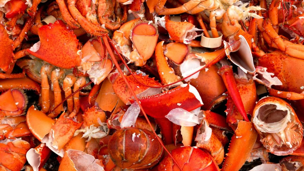 APRIL CRAB AND LOBSTER ELOG ONLINE TRAINING SESSIONS