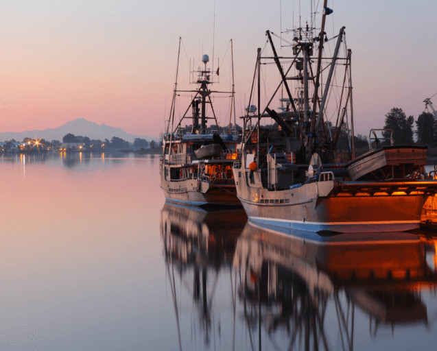 how fisheries software can support your business